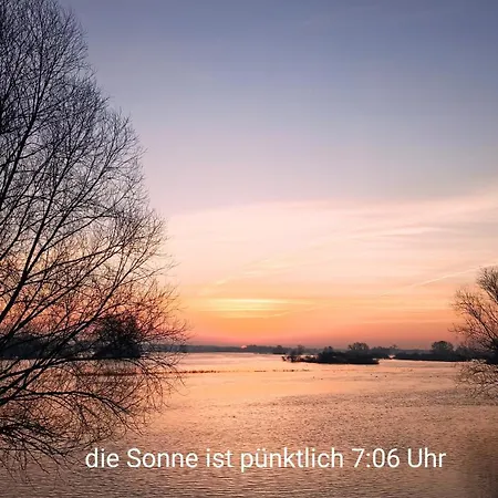 Zur Nachtigall